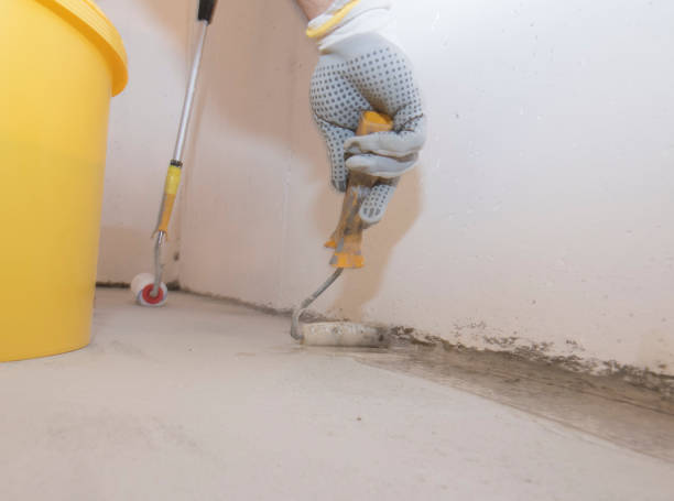 Best Residential Pest Control  in Osakis, MN